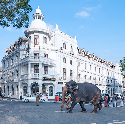 kandy